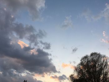 Low angle view of trees against sky