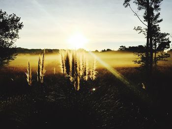 Scenic view of landscape against sky during sunset