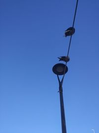 Low angle view of street light against clear blue sky