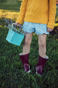 Young girl,child holding basket of fresh picked lavender