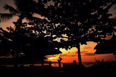 Silhouette trees at sunset