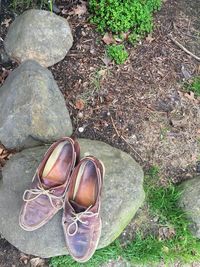 High angle view of shoes on grass
