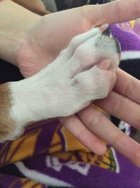 Midsection of man with puppy