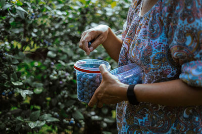 Hand holding plastic bucket with blueberries while harvesting