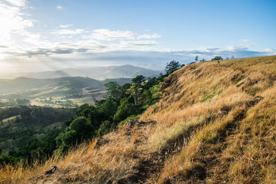 Scenic view of landscape against sky