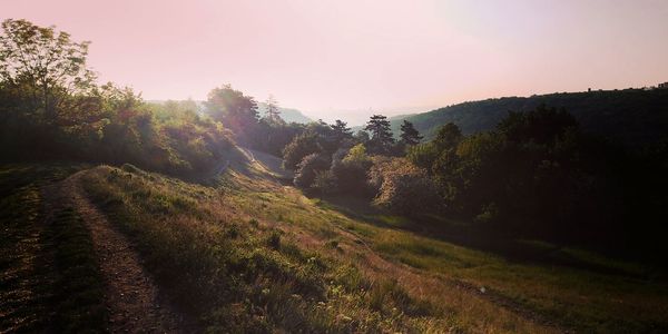 Scenic view of field against sky during sunset