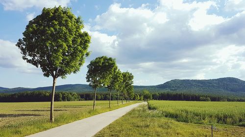 Scenic view of trees on field against sky