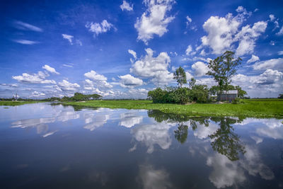 Beautiful rural scene with reflection in water