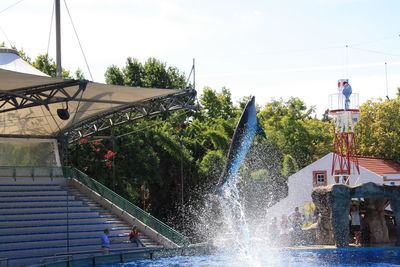 Dolphin in mid-air over swimming pool against sky
