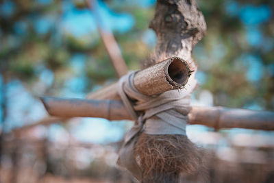 Close up of a knot