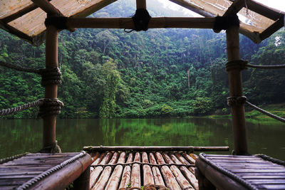 Scenic view of lake in forest