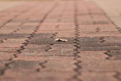 Close-up of footpath