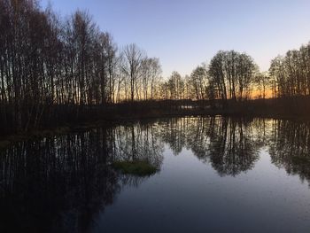 Reflection of trees in water