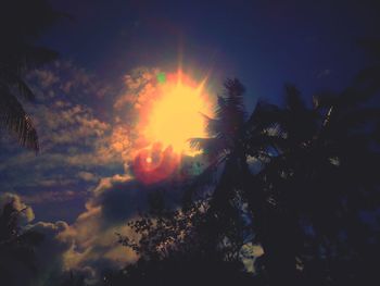 Low angle view of silhouette trees against sky during sunset