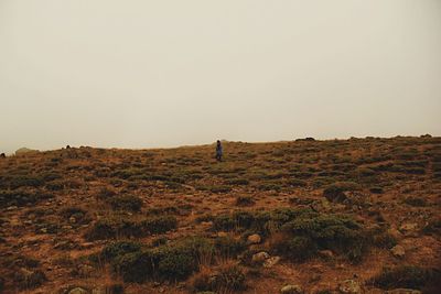 Scenic view of landscape against clear sky