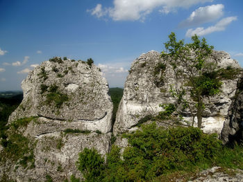 Panoramic view of rocks and trees against sky