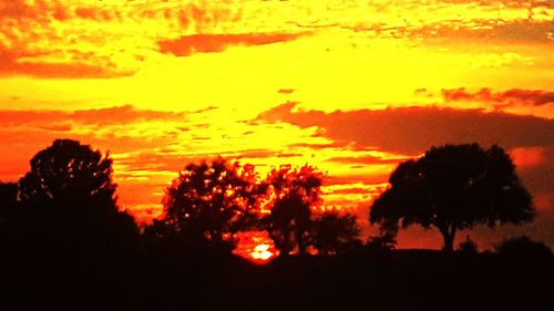 Silhouette trees against orange sky