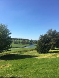 Scenic view of field against clear sky