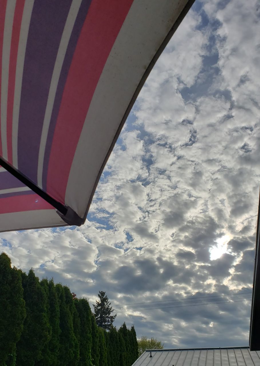 LOW ANGLE VIEW OF CLOUDY SKY OVER TREES AGAINST BLUE BACKGROUND