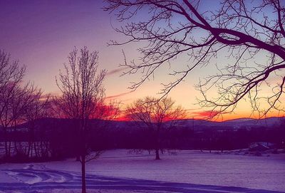 Scenic view of snow covered landscape