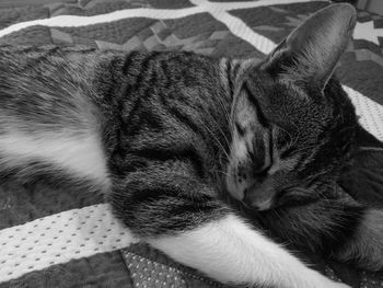 Close-up of cat sleeping on bed at home