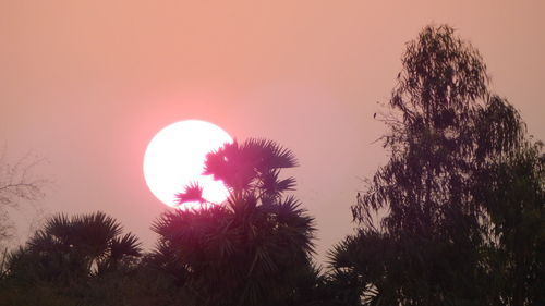 Low angle view of silhouette trees against sky during sunset