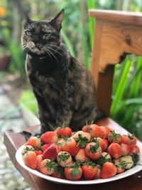 Close-up of fruits on fruit