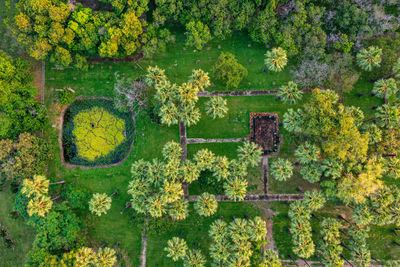 Digital composite image of flowering plants and trees during autumn