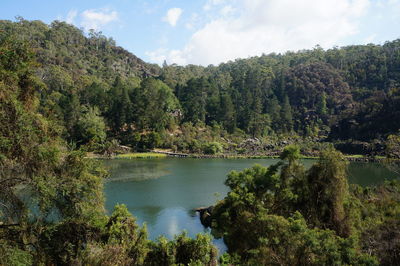 Scenic view of lake amidst trees in forest against sky