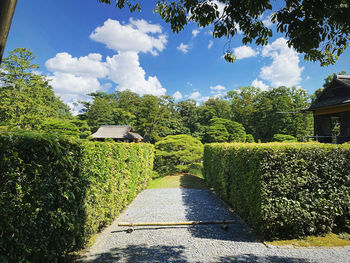 Footpath amidst plants in garden against sky