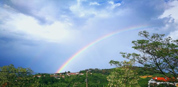 Low angle view of rainbow over trees against sky