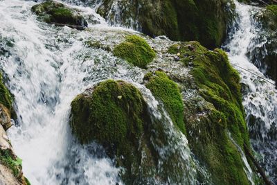 Scenic view of waterfall