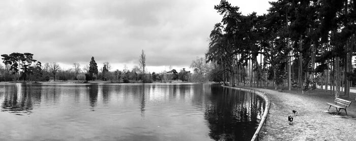 Panoramic view of lake against sky in city