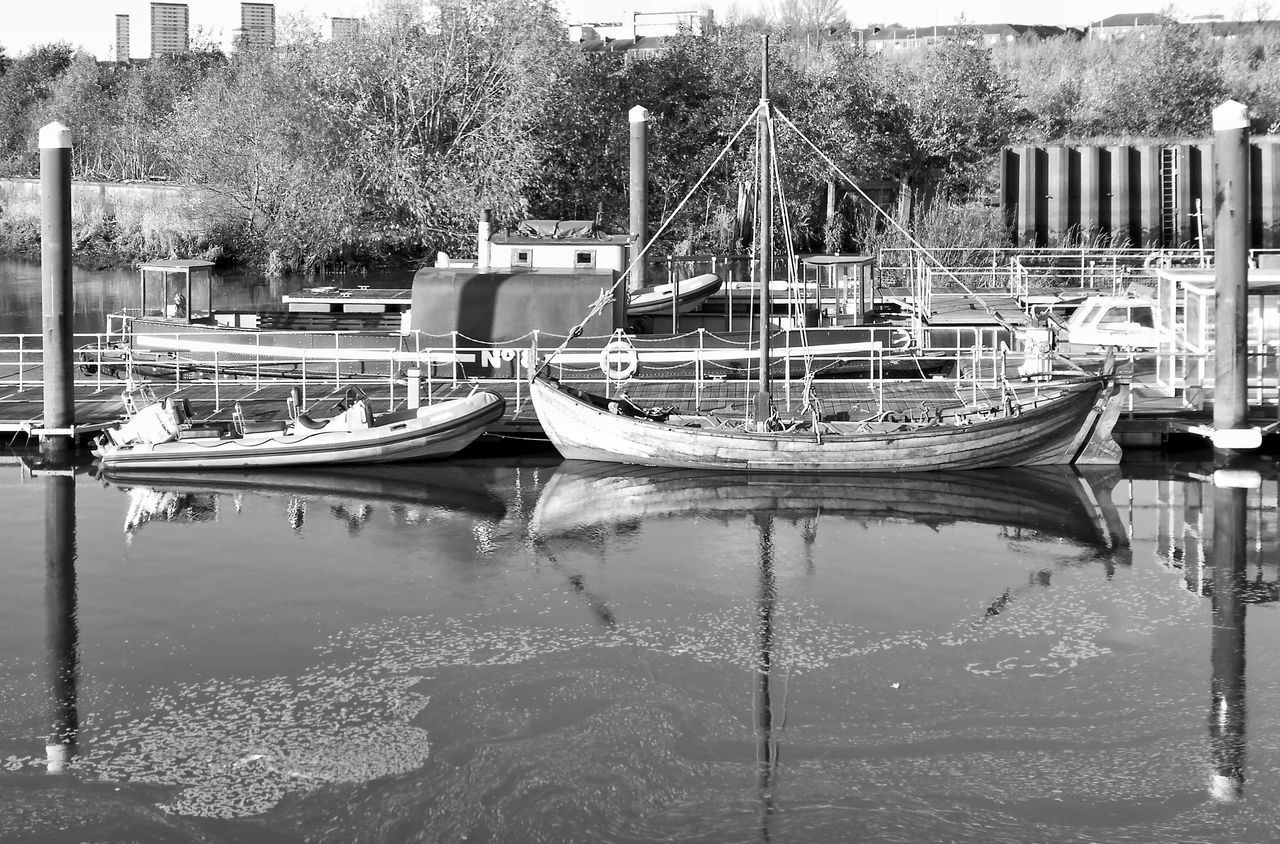 BOATS MOORED BY TREES