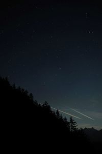 Low angle view of trees against sky at night