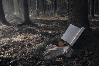 Open book and gloves by tree in forest