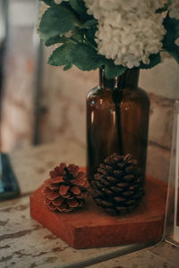 Close-up of potted plant in vase on table