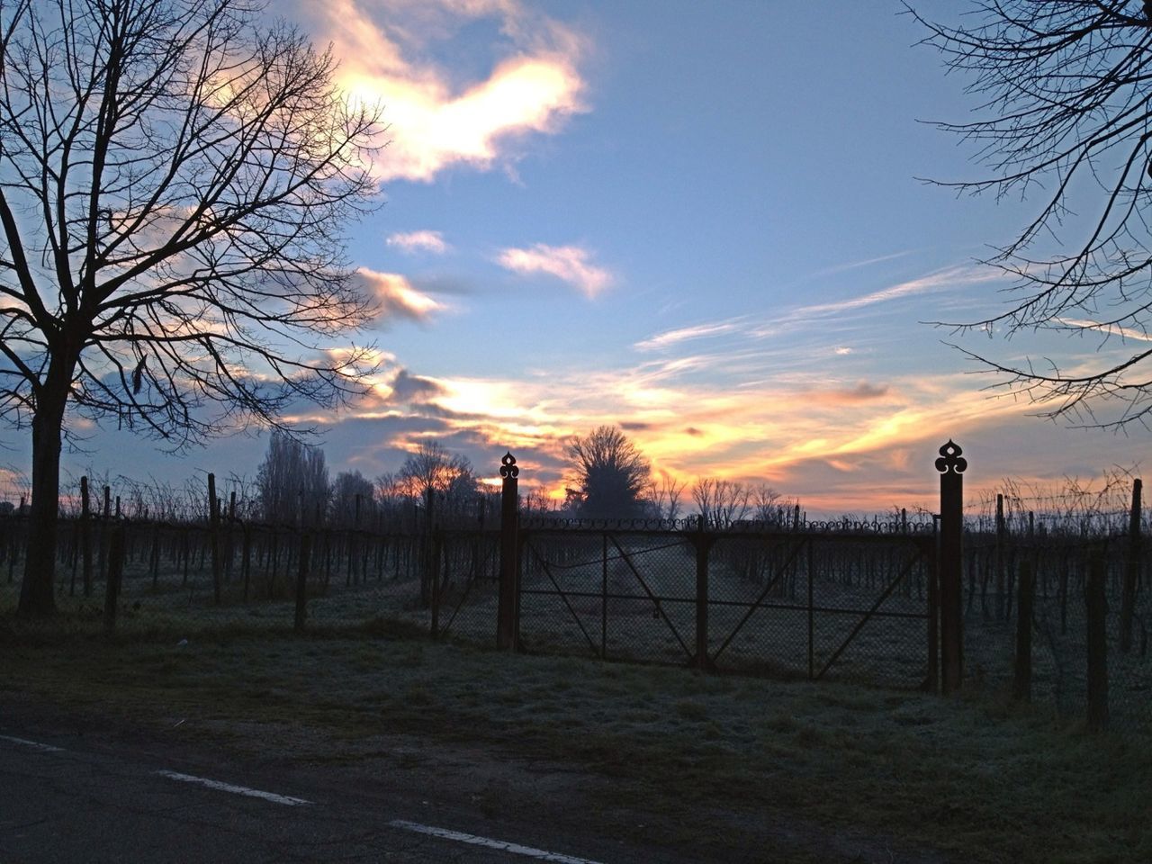 sunset, bare tree, sky, tranquility, tranquil scene, silhouette, landscape, scenics, fence, tree, beauty in nature, field, cloud - sky, nature, cloud, idyllic, non-urban scene, branch, rural scene, orange color