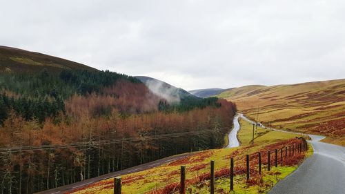 Country road passing through field