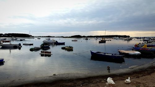 Boats moored at harbor against sky