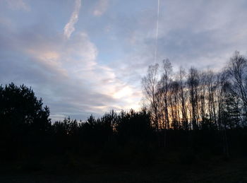 Silhouette trees against sky during sunset