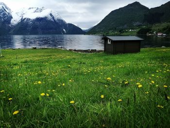 Scenic view of grassy field by mountains against sky