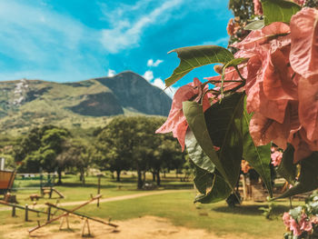 Person on field by mountain against sky