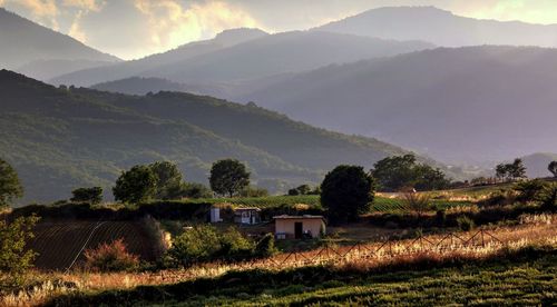 Scenic view of field against mountains