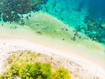 Scenic view of sandy beach