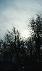 Low angle view of bare trees against sky