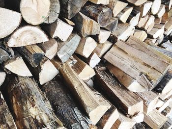 Full frame shot of wooden logs in forest