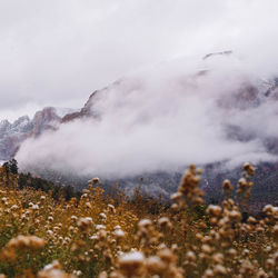 Scenic view of snow covered land against sky