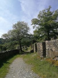 View of footpath amidst plants against cloudy sky