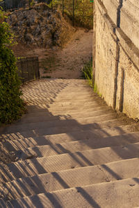 Shadow of trees